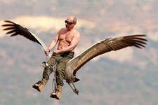 В.В. Путин – в заботах о животных