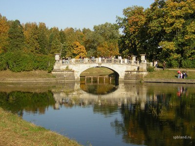 Парки Царского села и Павловска – в опасности