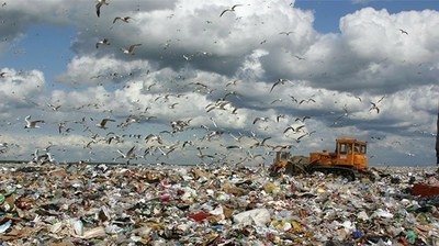 Дурно пахнет на севере Петербурга