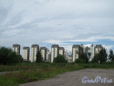 Уборка территории и пикник жителей как форма протеста против застройки зеленой зоны