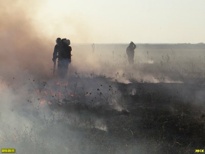 Пожар на Шапсуге все-таки потушили, несмотря на противоправное противодействие правоохранителей