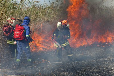 Пожары в плавнях: кто их устраивает, кто их тушит и кто чинит огнеборцам препятствия