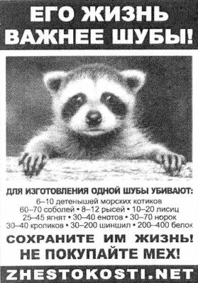 Animal Rights Sticker